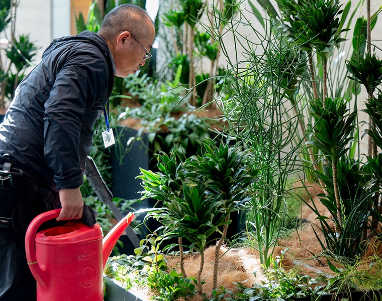 植物のレンタル